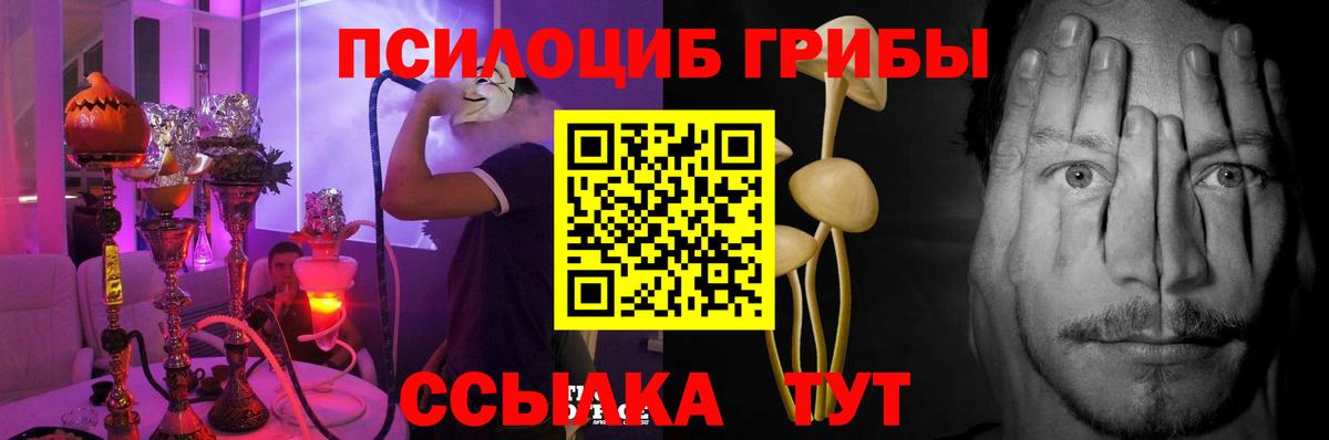 Псилоцибиновые грибы прущие грибы  Вход с VPN  Дубна 